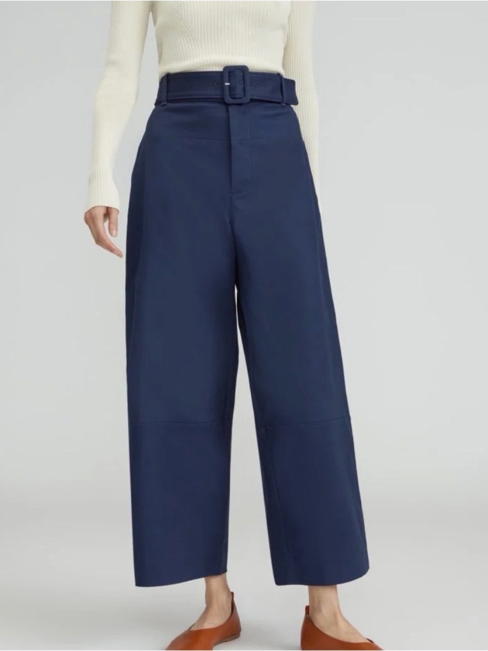 Everlane Structured Cotton Belted Pants